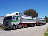 Semi Grain Tipper