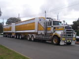 Semi Grain Tipper